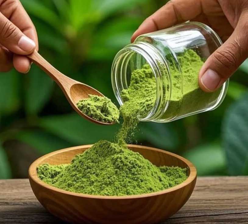 best indigo powder in bangladesh