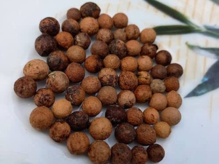 chandan seeds
