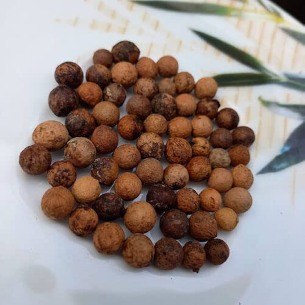 chandan seeds