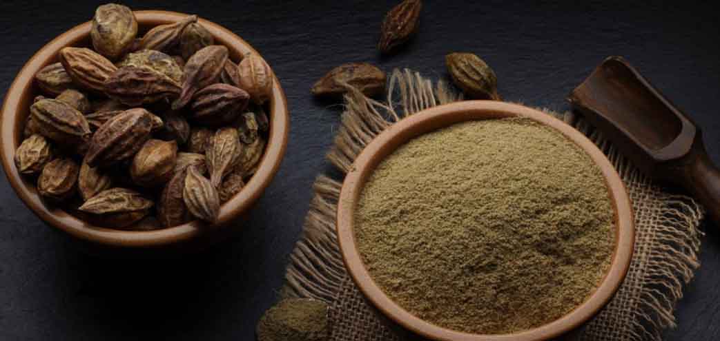 harad powder price