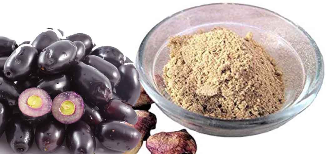 jamun fruit powder