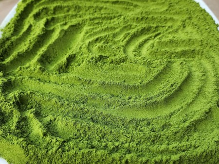 moringa powder