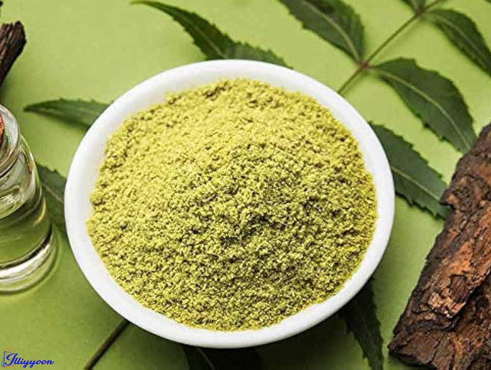 neem leaf powder