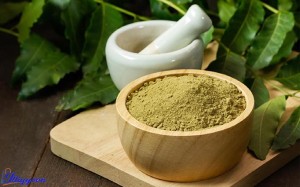 organic neem leaf powder