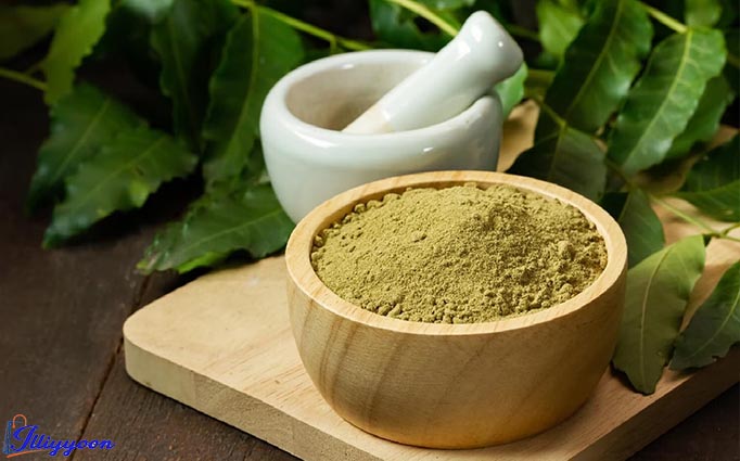 organic neem leaf powder