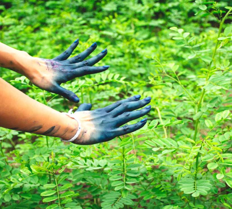 original indigo powder