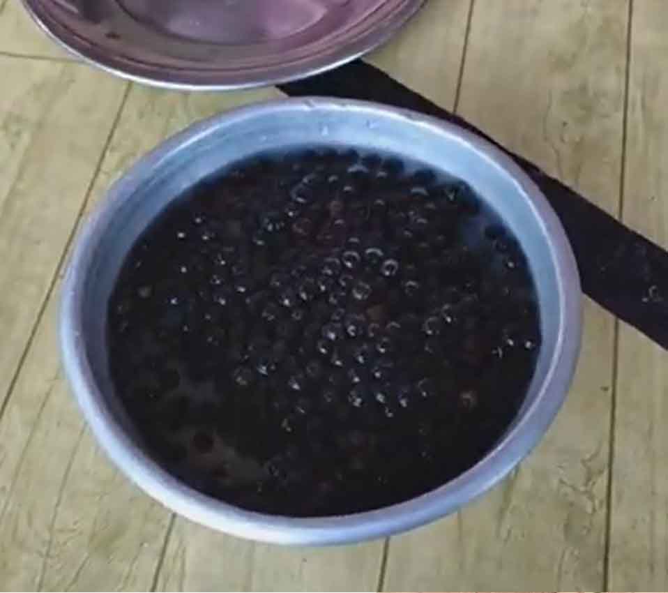 চন্দন গাছের বীজ কোথায় পাওয়া যায়