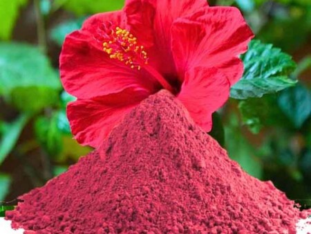 জবা ফুলের গুঁড়া