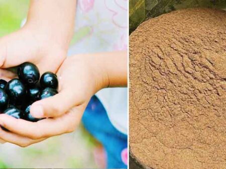 জামের বিচির পাউডার