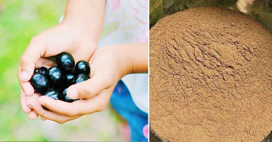 জামের বিচির পাউডার