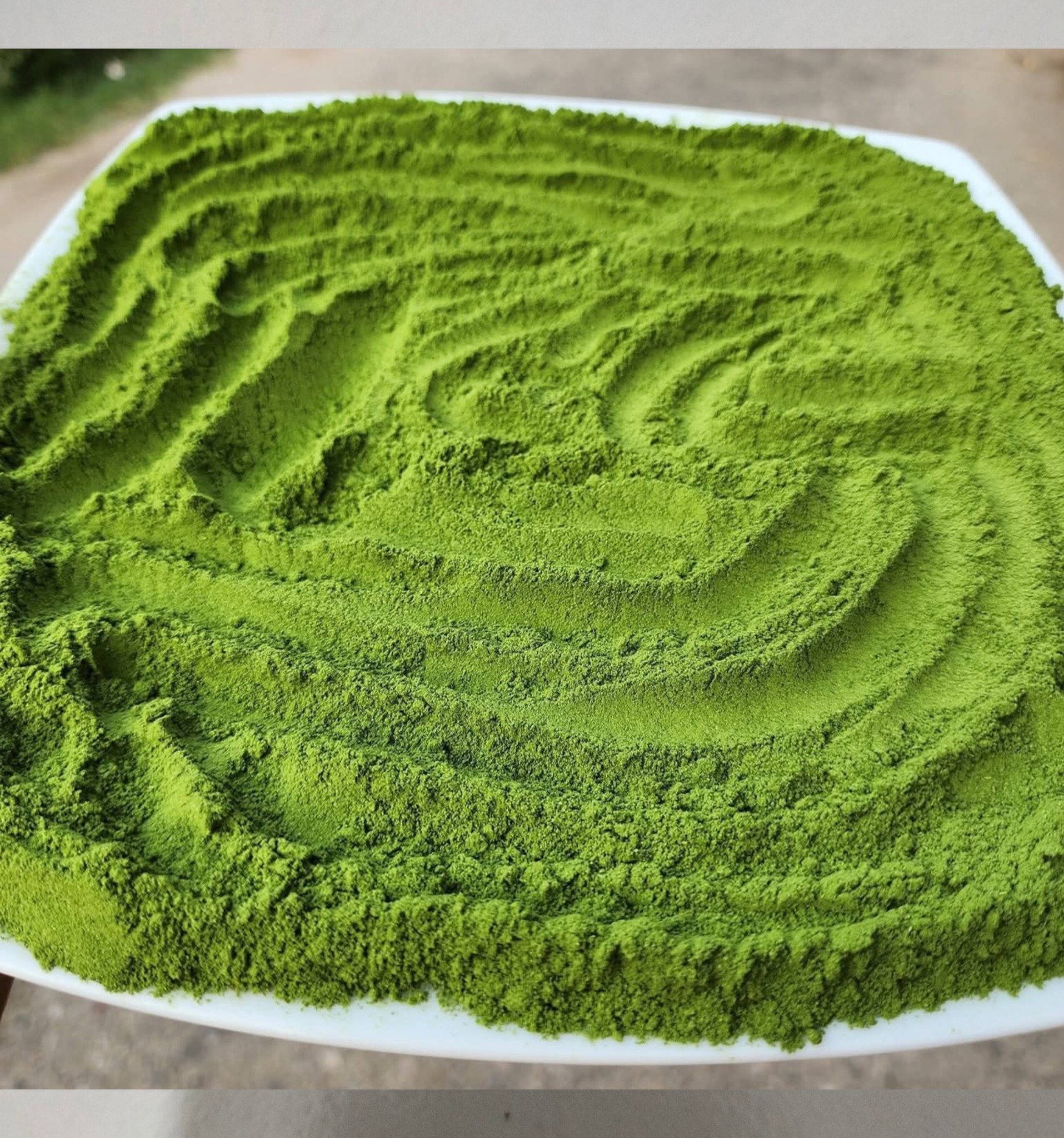 মরিঙ্গা পাউডার কোথায় পাওয়া যায়